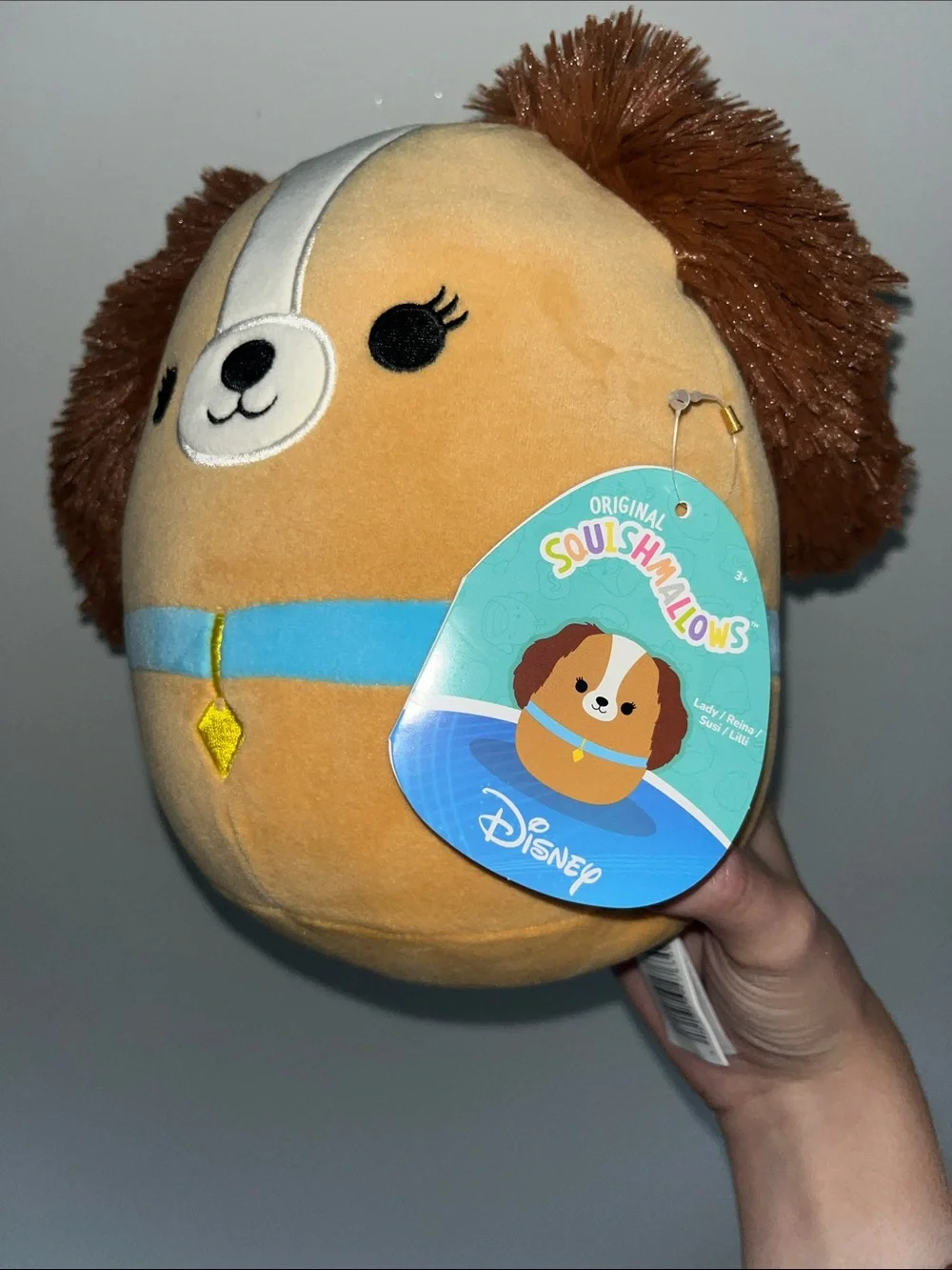 Squishmallows Brown & White Puppy with Blue Collar